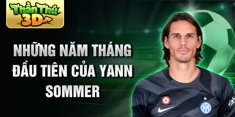 Những năm tháng đầu tiên của yann sommer