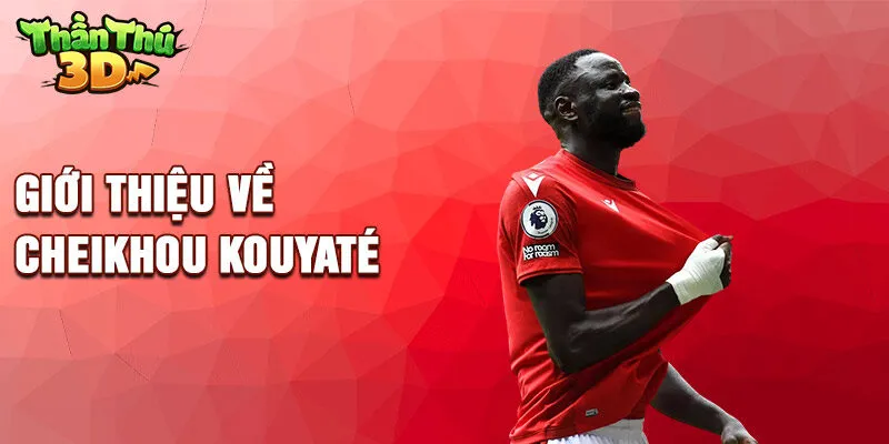 Giới thiệu về Cheikhou Kouyaté