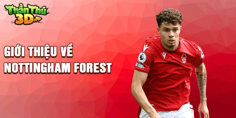 Giới thiệu về Nottingham Forest