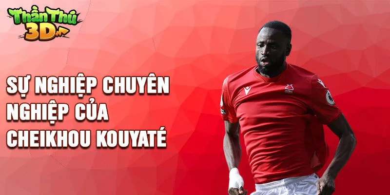 Sự nghiệp chuyên nghiệp của Cheikhou Kouyaté