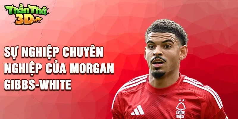 Sự nghiệp chuyên nghiệp của Morgan Gibbs-White