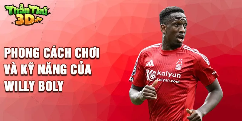 Phong cách chơi và kỹ năng của Willy Boly